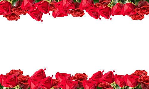 Happy Rose Day Background PNG png